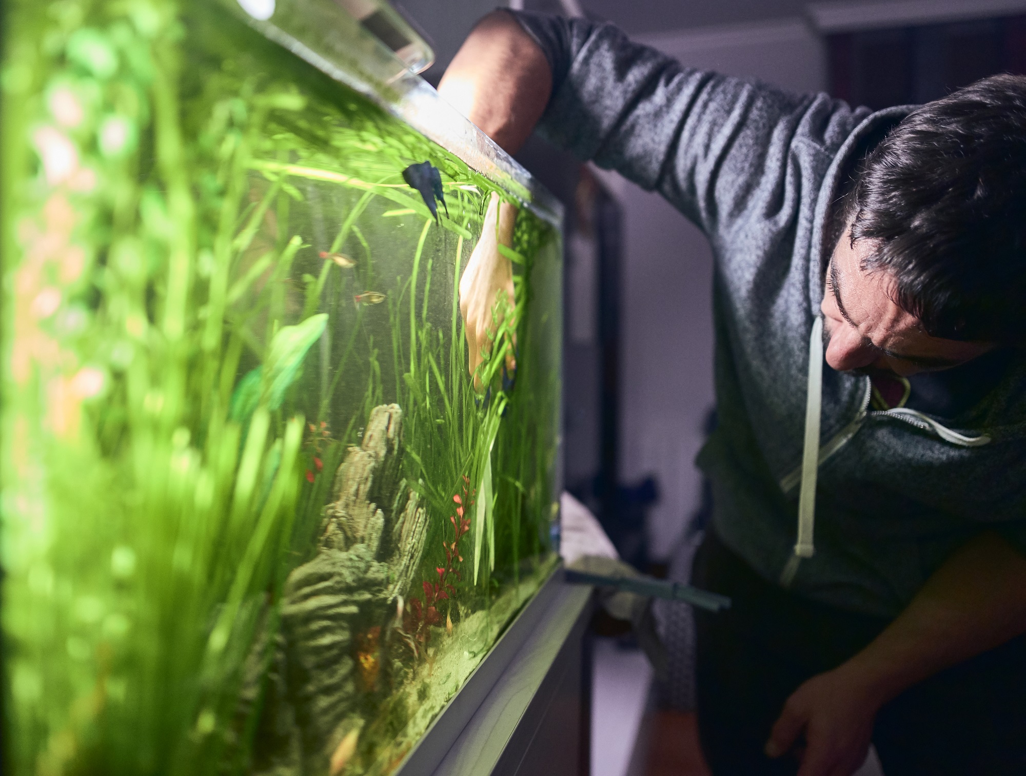 Разместить аквариум можно в гостиной, спальне или рабочем кабинете квартиры