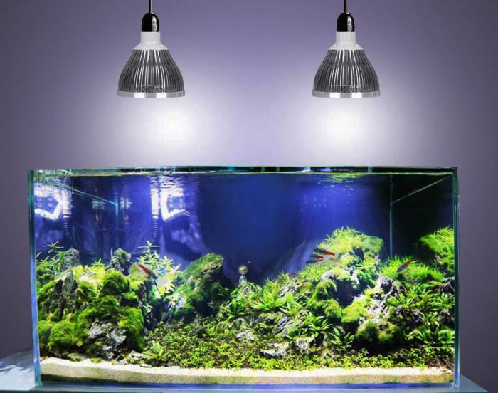 На изображении аквариум, который освещается лампами