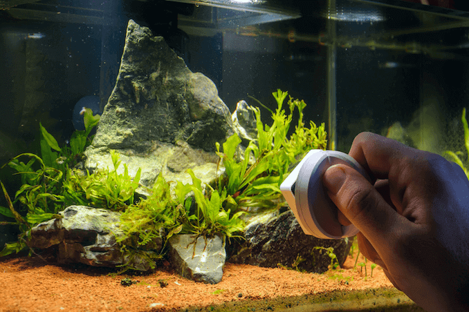 Уборка аквариума