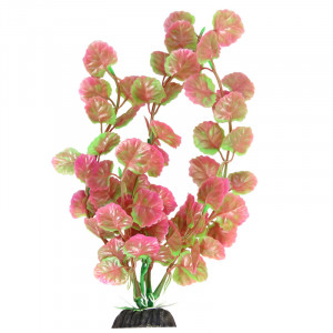 Растение 1034LD "Щитолистник" розово-зеленый, 200мм, (пакет)