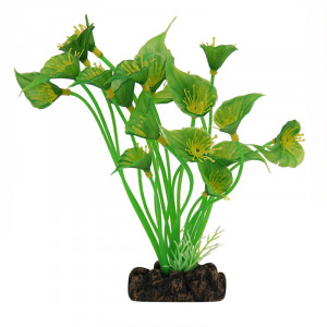 Растение 1802 "Спатифиллум" зеленый, 200мм, (пакет)