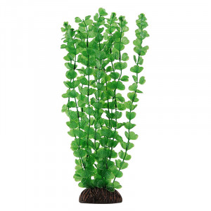 Растение 1990 "Бакопа" зеленая, 200мм, (пакет)