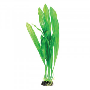 Растение 1994 "Эхинодорус" зеленый, 200мм, (пакет)