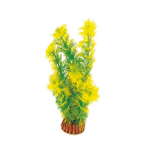 Растение 1998 "Амбулия" жёлто-зеленая, 200мм, (пакет)