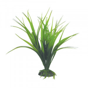 Растение 2562 "Сагиттария" зеленая, 250мм, (пакет)