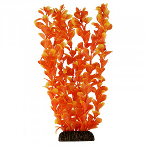 Растение 2951 "Людвигия" оранжевая, 300мм, (пакет)
