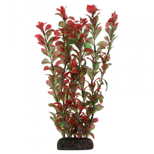 Растение 2952 "Людвигия" красная, 300мм, (пакет)
