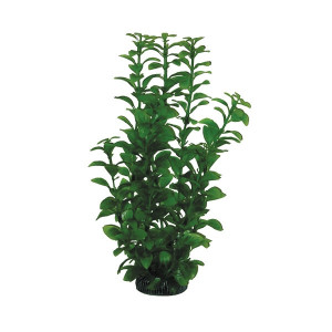 Растение 2953 "Людвигия" зеленая, 300мм, (пакет)