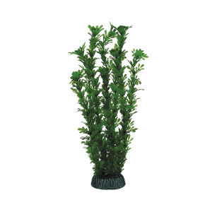 Растение 2961 "Лигодиум" зеленый, 300мм, (пакет)