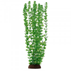 Растение 4673 "Бакопа" зеленая, 400мм, (пакет)