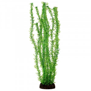 Растение 4683 "Лигодиум" зеленый, 400мм, (пакет)