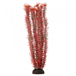 Растение 4687 "Амбулия" красная, 400мм, (пакет)