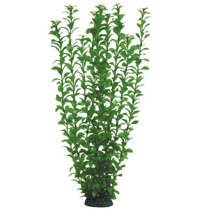 Растение 5576 "Людвигия" зеленая, 500мм, (пакет)
