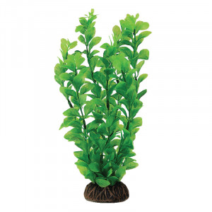 Растение 1396 "Людвигия" зеленая, 100мм, (пакет)