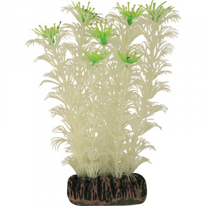Растение светящееся "Амбулия" белая, 130мм, (пакет)