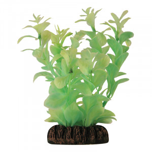 Растение светящееся "Людвигия" зеленая, 130мм, (пакет)