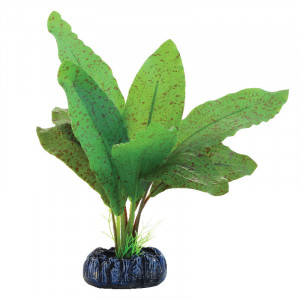 Растение шелковое "Эхинодорус крапчатый", 200мм, (пакет)