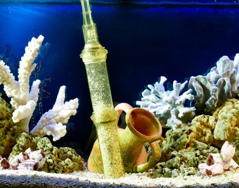 Очистка грунта в аквариуме с помощью сифона