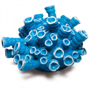 Коралл искусственный "Эусмилия" синяя 95*95*55мм"