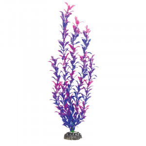 Растение "Людвигия фиолетовая", 400мм"