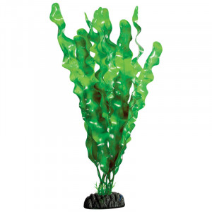 Растение "Ламинария зеленая", 300мм"