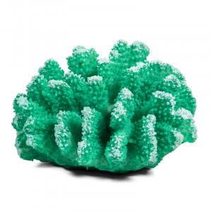 Коралл искусственный "Поциллопора", зеленый, 120*110*65мм