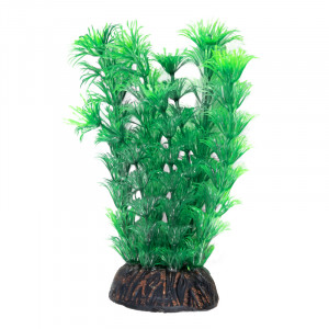 Растение "Амбулия" зеленая, 200мм