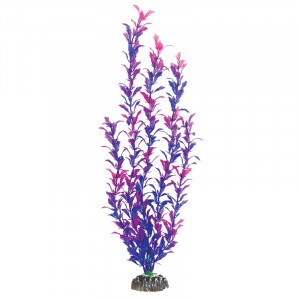 Растение "Людвигия фиолетовая", 500мм
