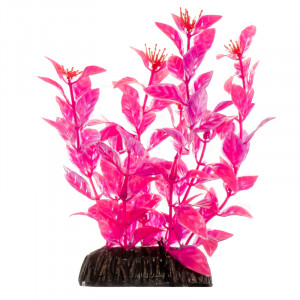 Растение "Людвигия" ярко-розовая, 200мм