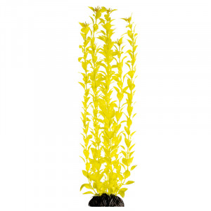 Растение "Людвигия" ярко-желтая, 500мм