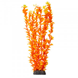 Растение "Людвигия" ярко-оранжевая, 400мм