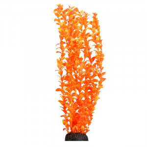 Растение "Людвигия" ярко-оранжевая, 500мм