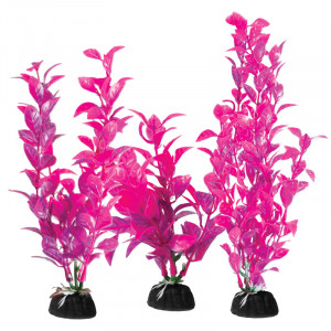 Растения "Людвигия" (набор 3шт) розово-фиолетовые, 100мм, 200мм, 300мм
