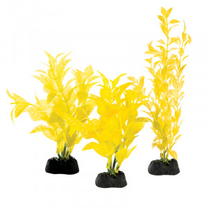 Растения "Людвигия" (набор 3шт) желтые, 100мм, 200мм, 300мм