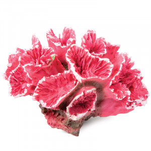 Коралл искусственный "Кауластрея", розовая, 70*50*45мм